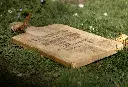 _MG_2703_compressed.webp