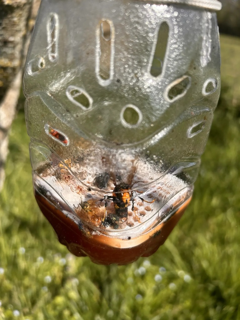 IMG_8548.webp