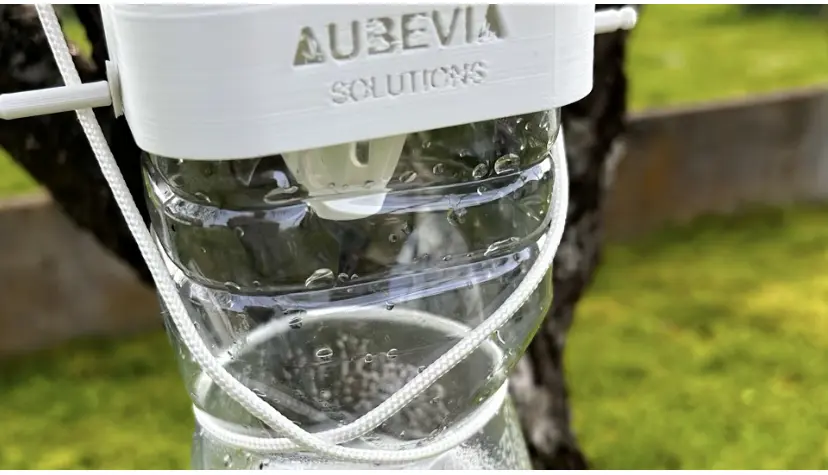 Piège à frelons asiatiques sélectif