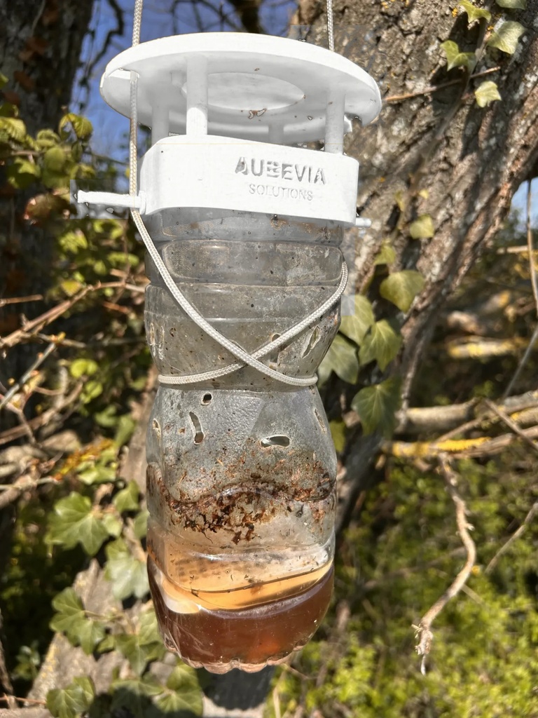 Piège à frelons imprimé en 3D, gamme jardin et pollinateurs