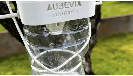 Piège à frelons asiatiques sélectif